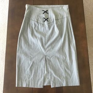 Express Pencil Skirt